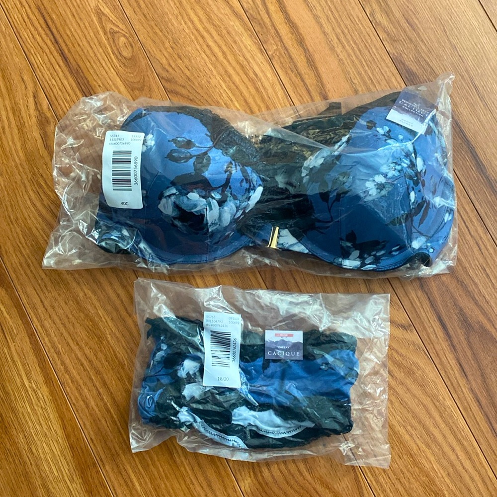 Blue floral Bra and panty set - boost plunge 40C, cheeky 18/20 (2x)